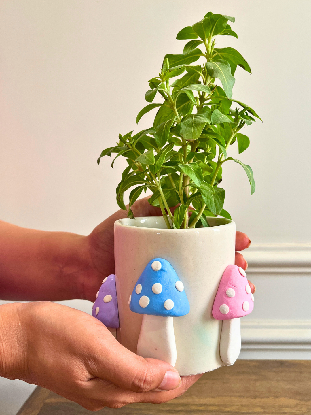 Shroom Boom Planter