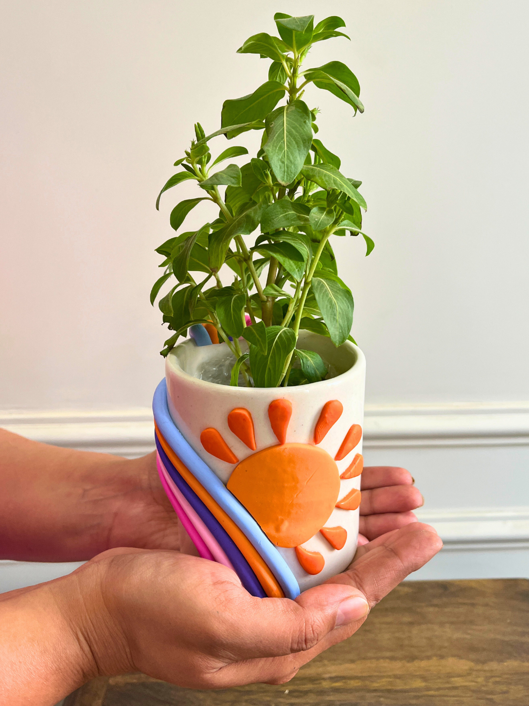 Sunny Daze Planter