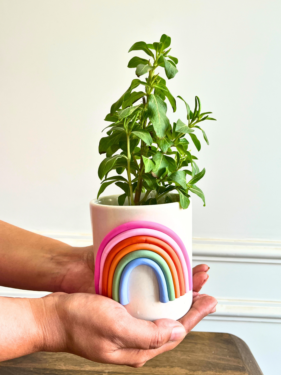 Happy Hues Planter