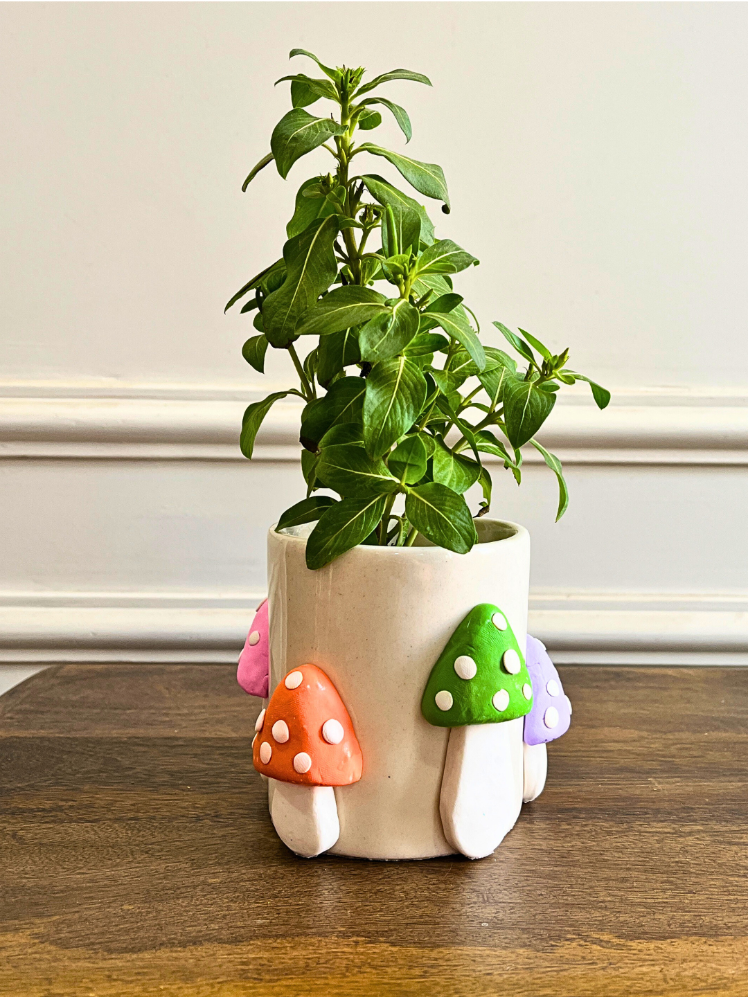 Shroom Boom Planter