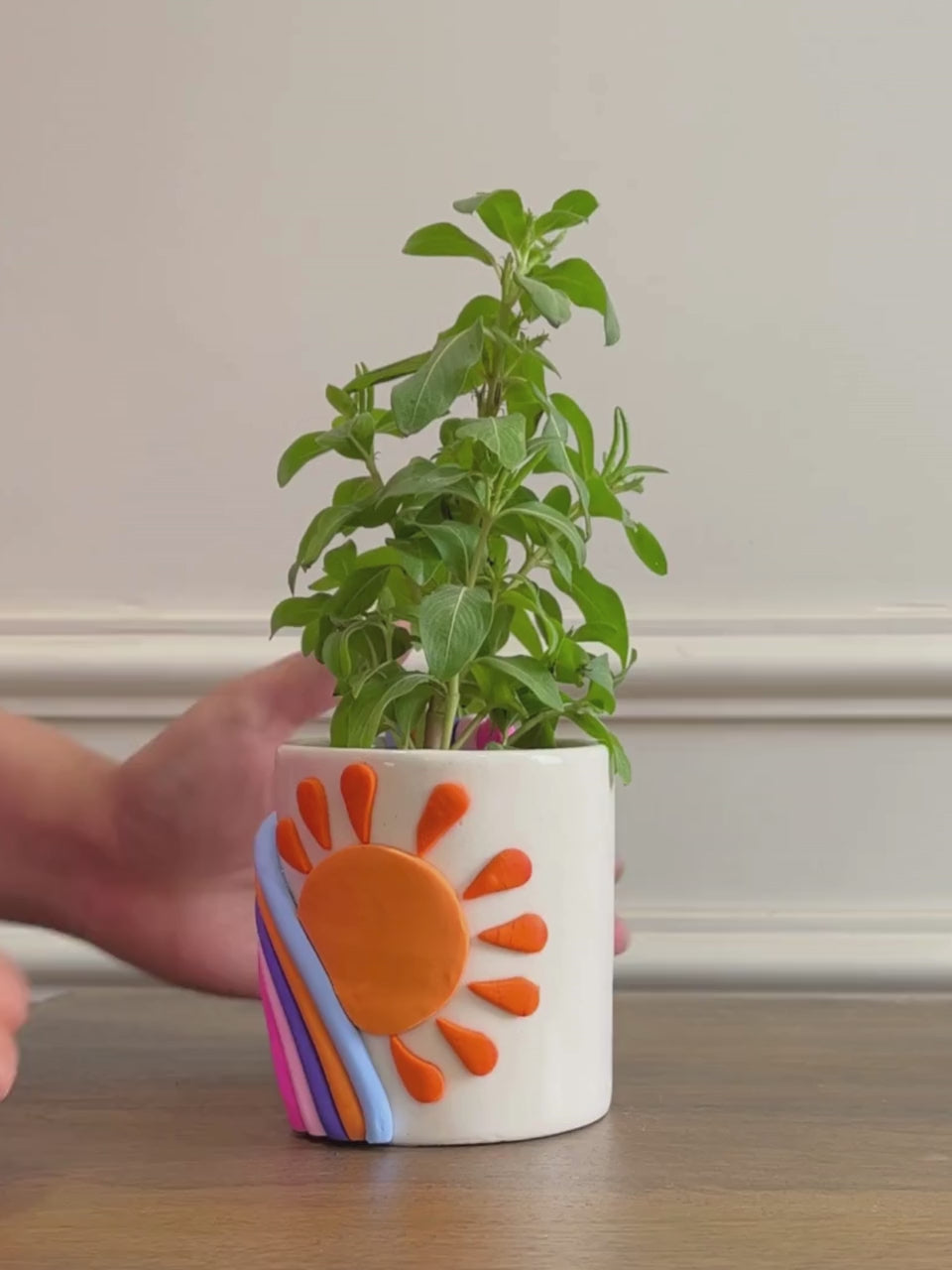 Rainbow planters