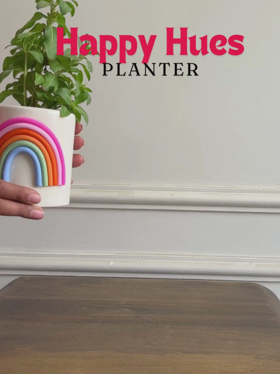 rainbow planter